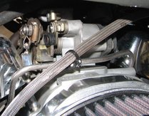 fa_3hoseon.jpg (83357 bytes)