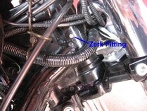 harpo_zerk.jpg (136285 bytes)