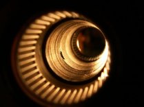 swingarm_bearings.jpg (14784 bytes)